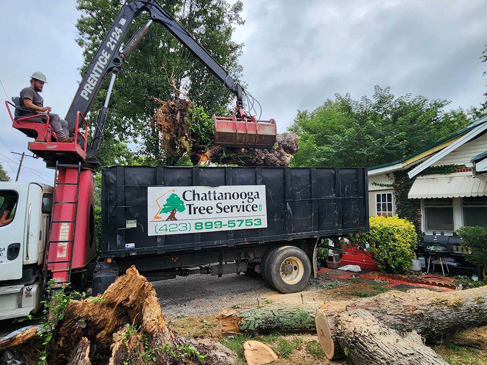 Chattanooga Tree Service's Grapple Truck