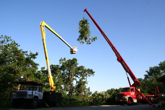 Chattanooga Tree Service's Cranes