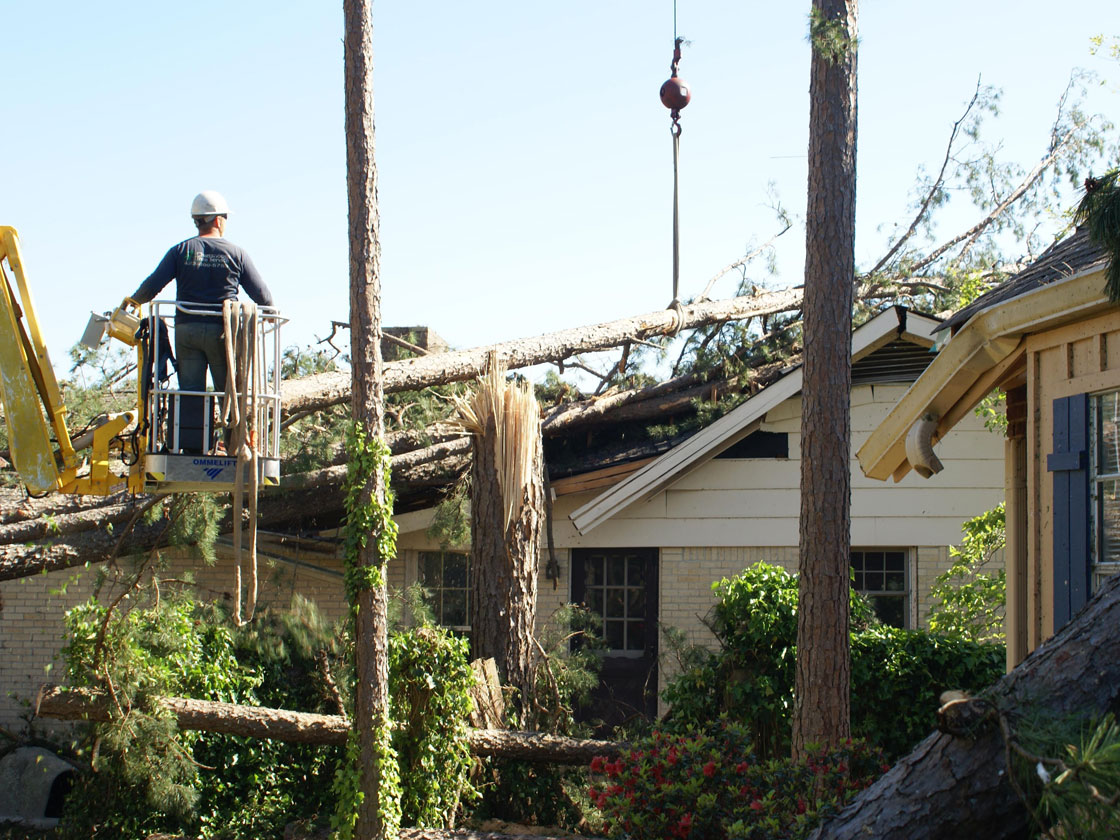 Removing 24 trees that had fallen on a house