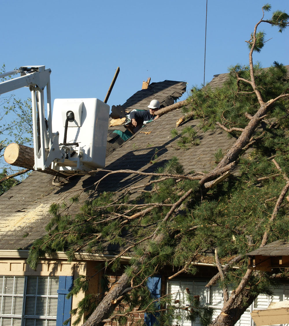 Removing trees from tornado damaged house